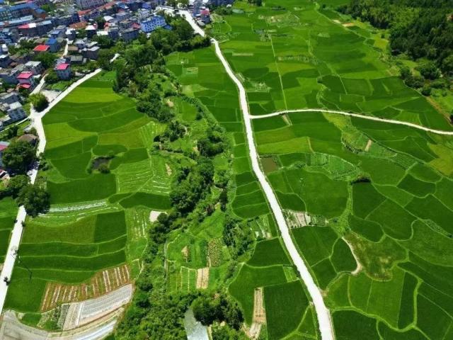 吉安市農業(yè)農村局 推動政府信息公開與職業(yè)技能培訓融合發(fā)展