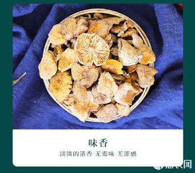 鮮遇長白山東北小黃蘑 野趣入廚，餐桌上的山珍之選